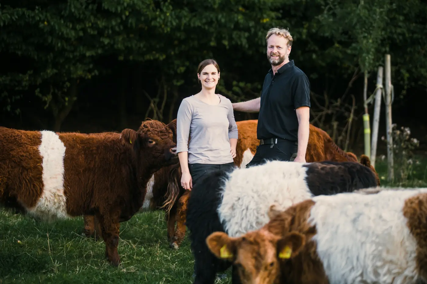 Laura und Bodo Schulte mit ihren Galloways auf der Weide